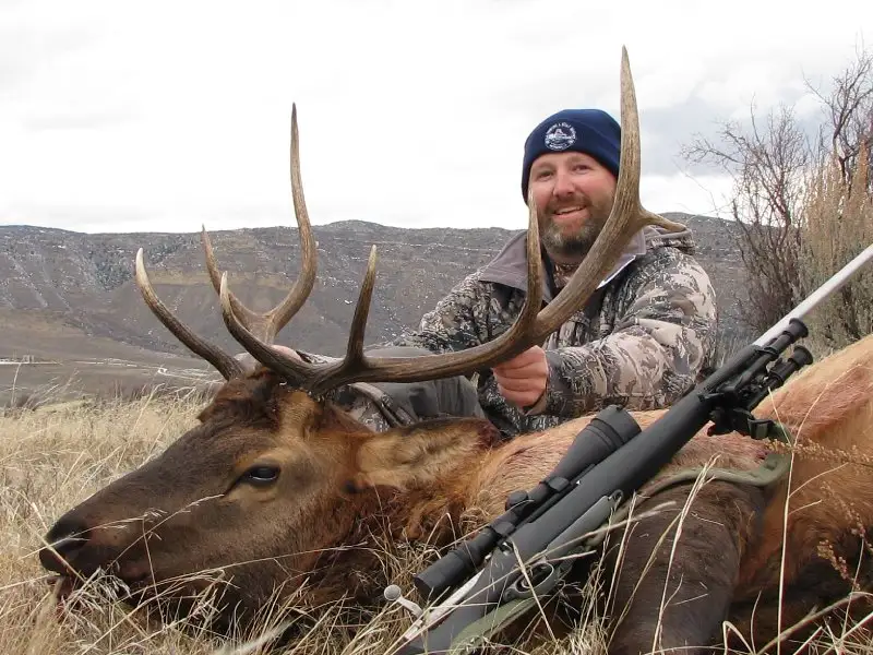 Bull Elk Nov 2014